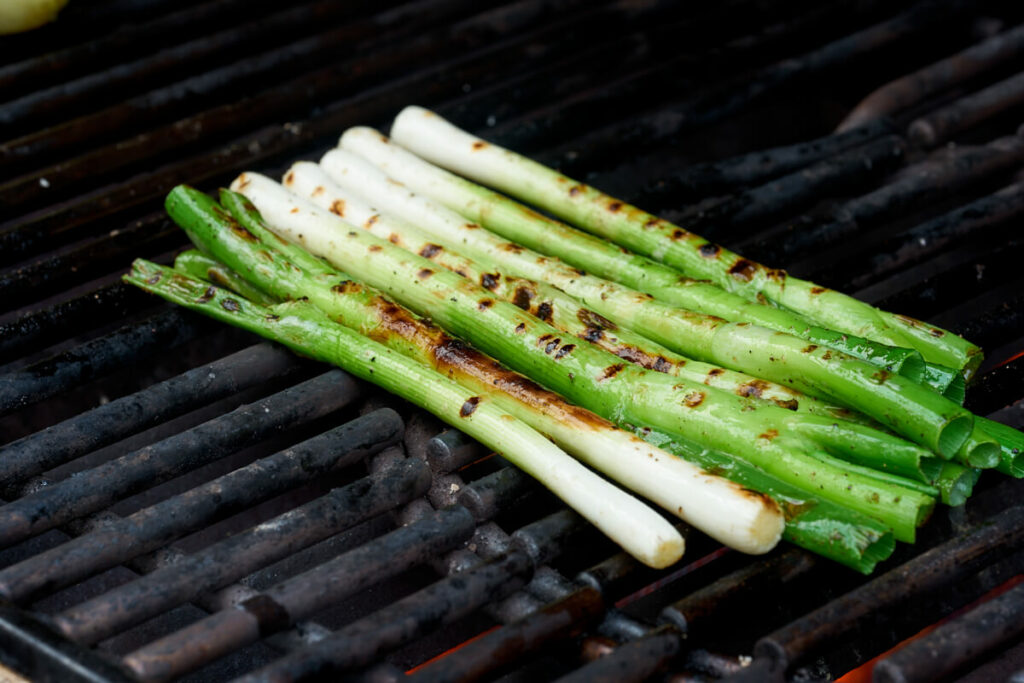 spring onions Recipes - Danishfoodlovers.com