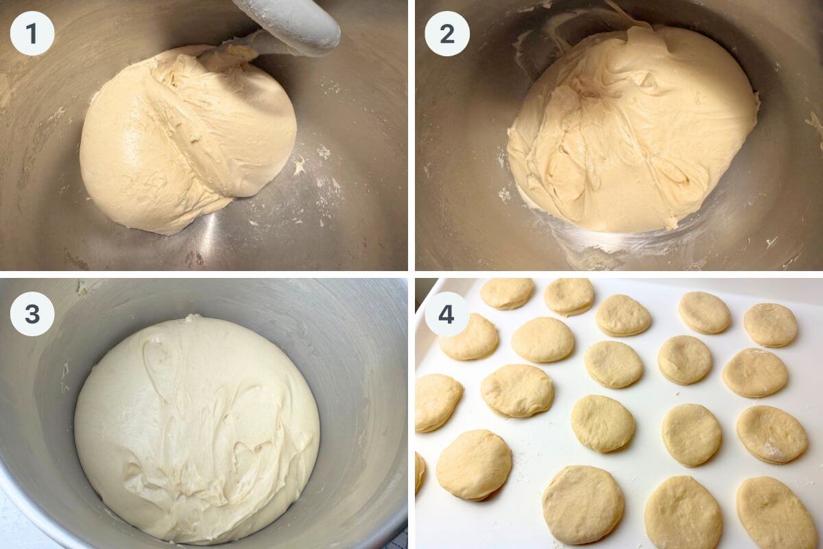 How to knead, rise and cut out the dough for berliners.